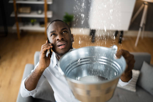 Best Water damage repair service  in Giddings, TX