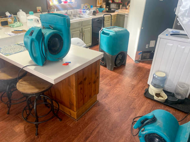 Best Water damage contractors near me  in Giddings, TX
