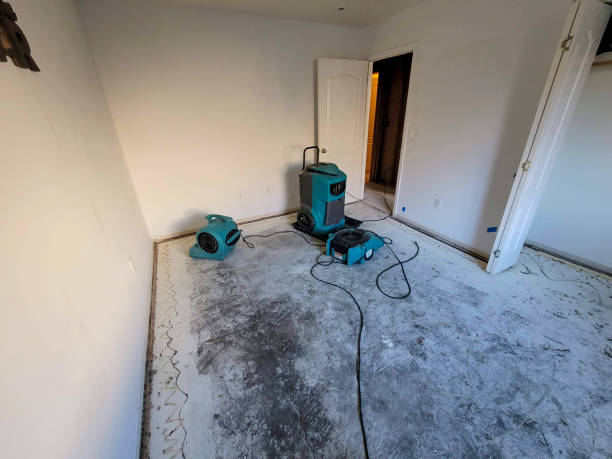 Best Water damage restoration near me  in Giddings, TX