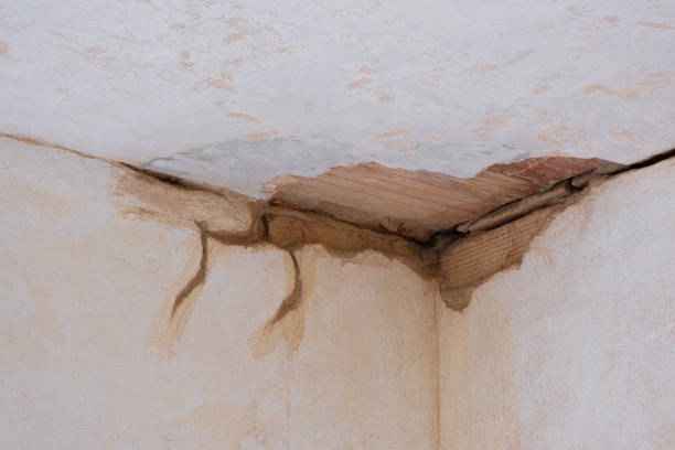 Best Emergency water damage restoration  in Giddings, TX