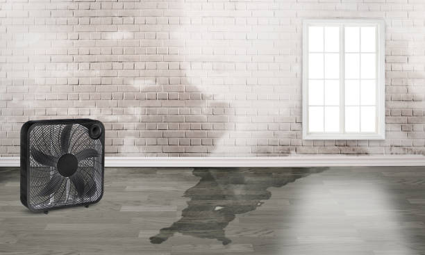  Giddings, TX Water damage restoration Pros